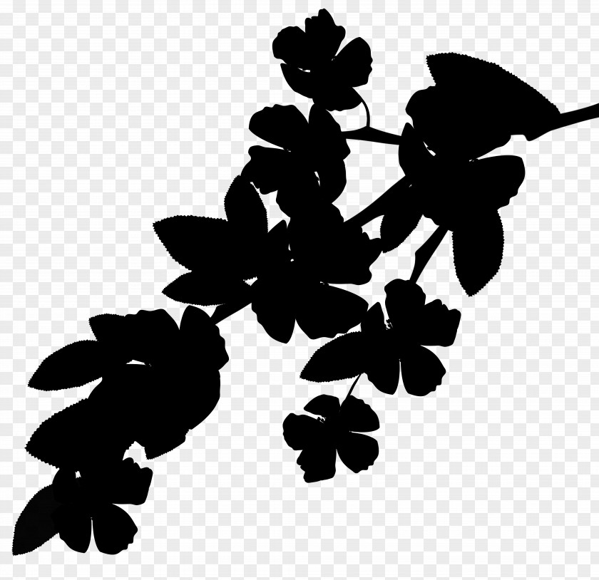 Pattern Silhouette Font Leaf Flowering Plant PNG