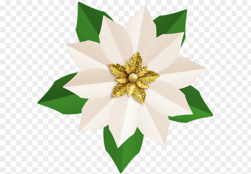 Poinsettia Clip Art PNG