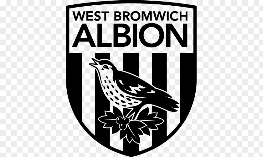 Premier League West Bromwich Albion F.C. Reserves And Academy Football PNG