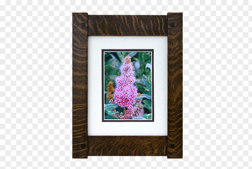 Solid Wood Border Picture Frames Framing Mirror PNG