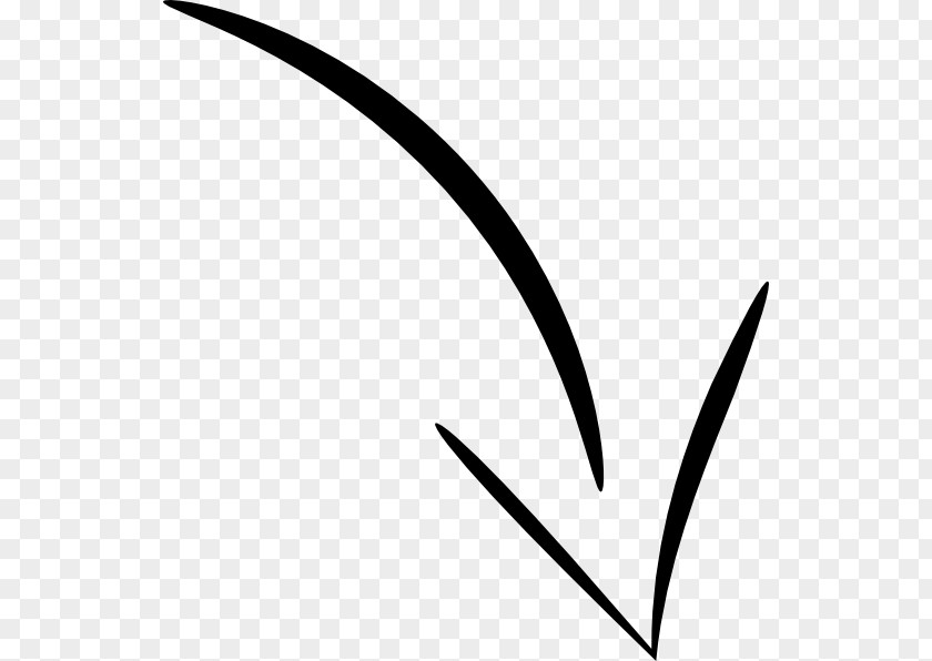 Beautifully Arrow Drawing Clip Art PNG