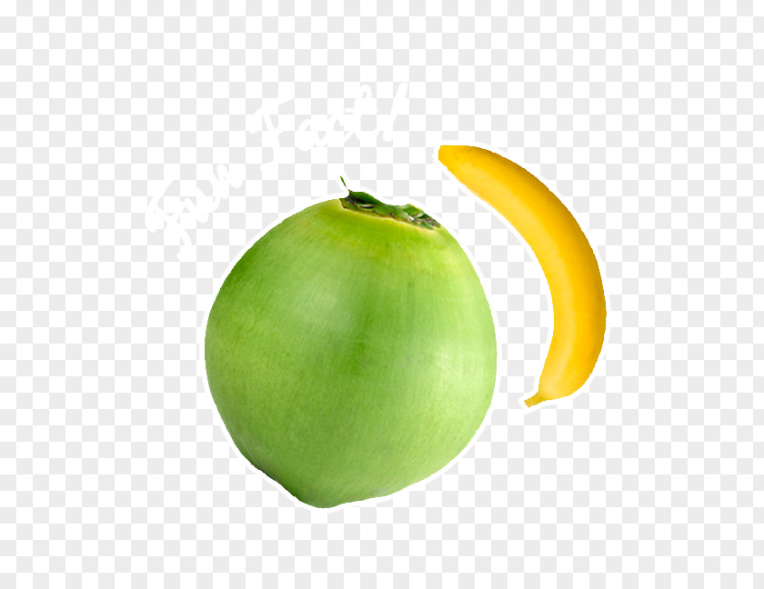 Coconut Apple Vegetable PNG