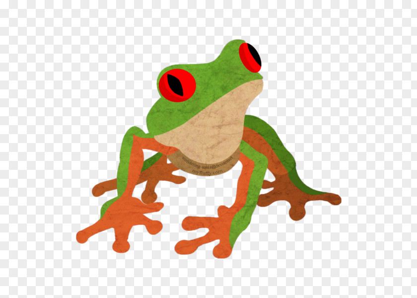 Coffee Tree Frog Amphibian Toad PNG