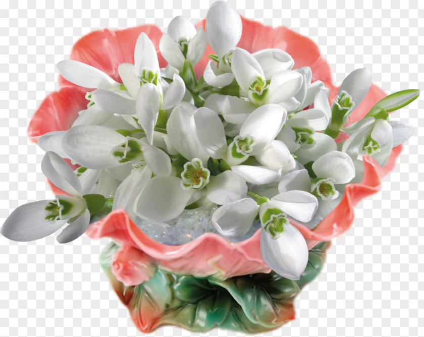 Flower Snowdrop Daytime LiveInternet Clip Art PNG