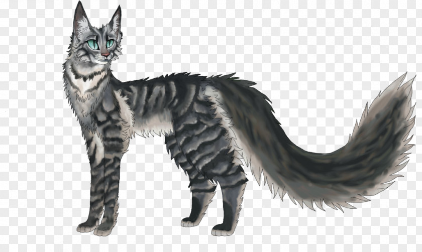 Mountain Stream Maine Coon American Wirehair Kitten Warriors Tabby Cat PNG