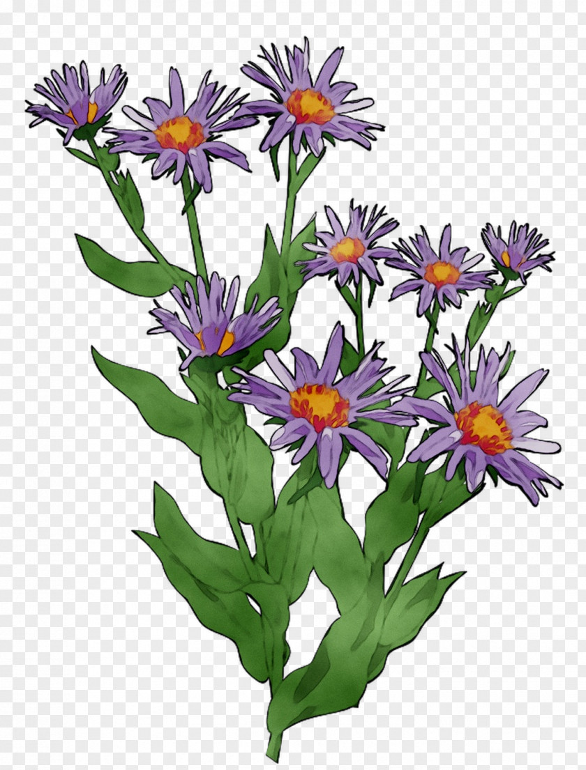 Purple Cut Flowers Annual Plant Wildflower PNG
