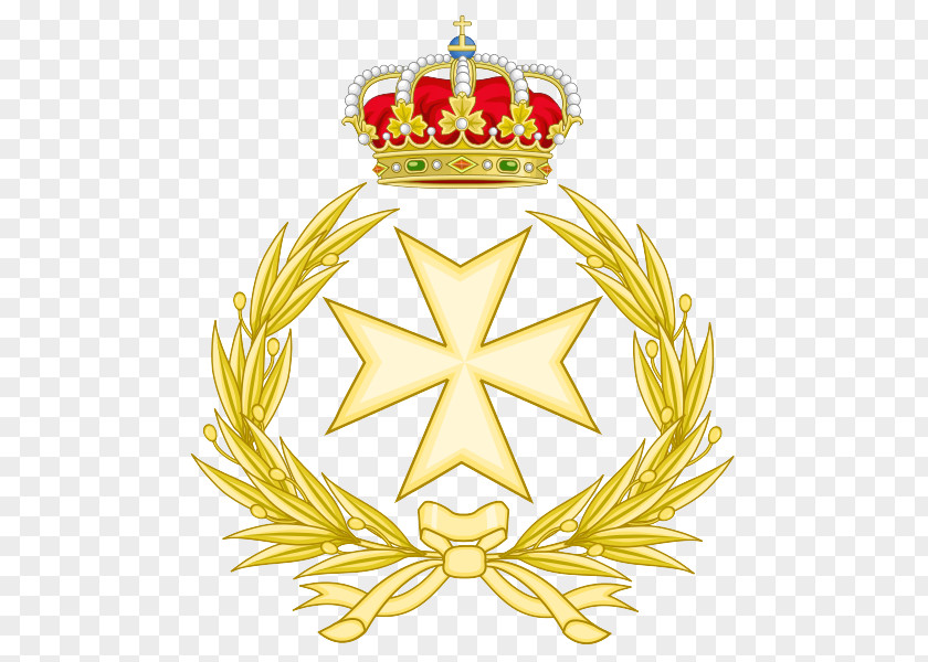 Spanish Armed Forces Cos Militar De Sanitat Military Medicine Hospital PNG