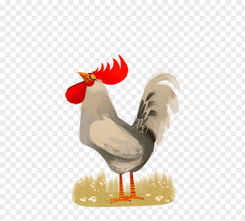 Cock Chicken Rooster Poster Illustration PNG