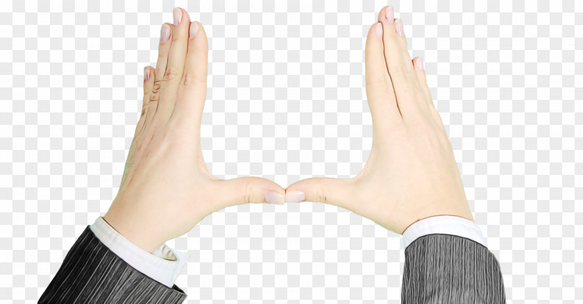 Hand Model PNG
