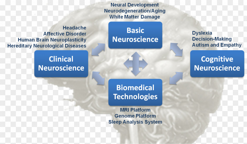 Science Clinical Neuroscience Research Developmental Cognitive PNG