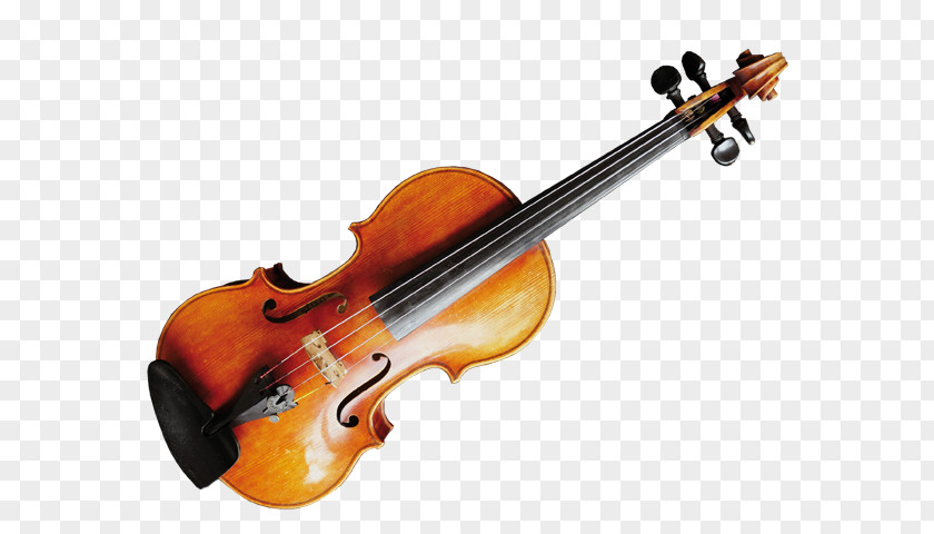 Violin String Instruments Musical Viola PNG
