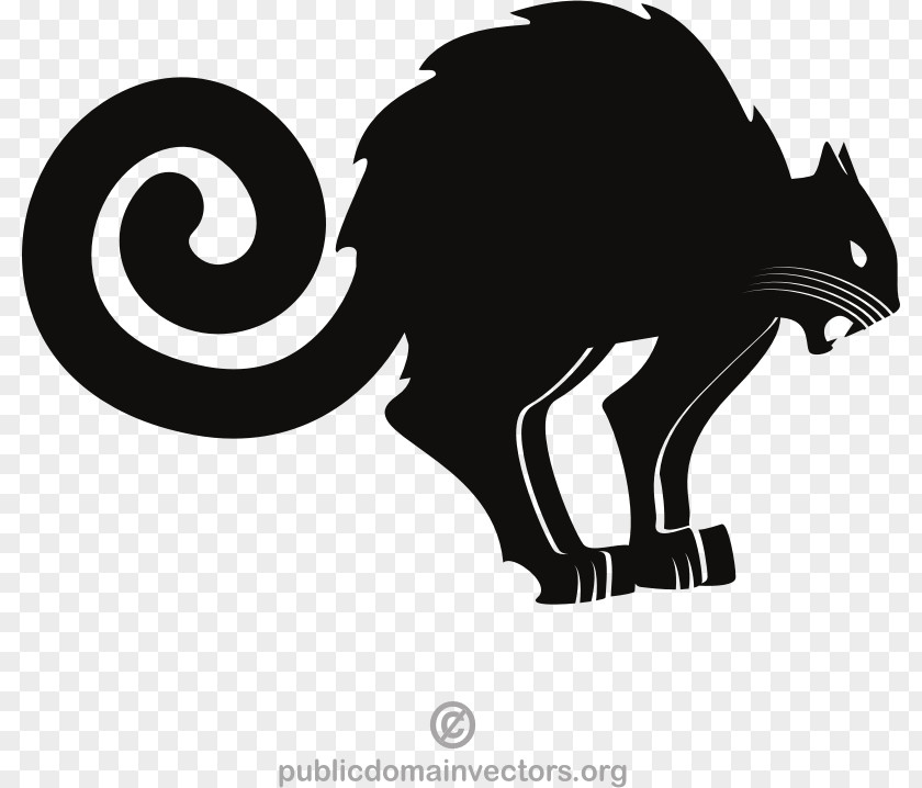 Cat Clip Art Vector Graphics Image Euclidean PNG