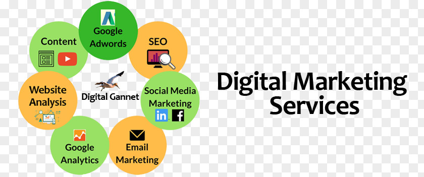 Digital Market Marketing Consult Search Engine Optimization Service PNG