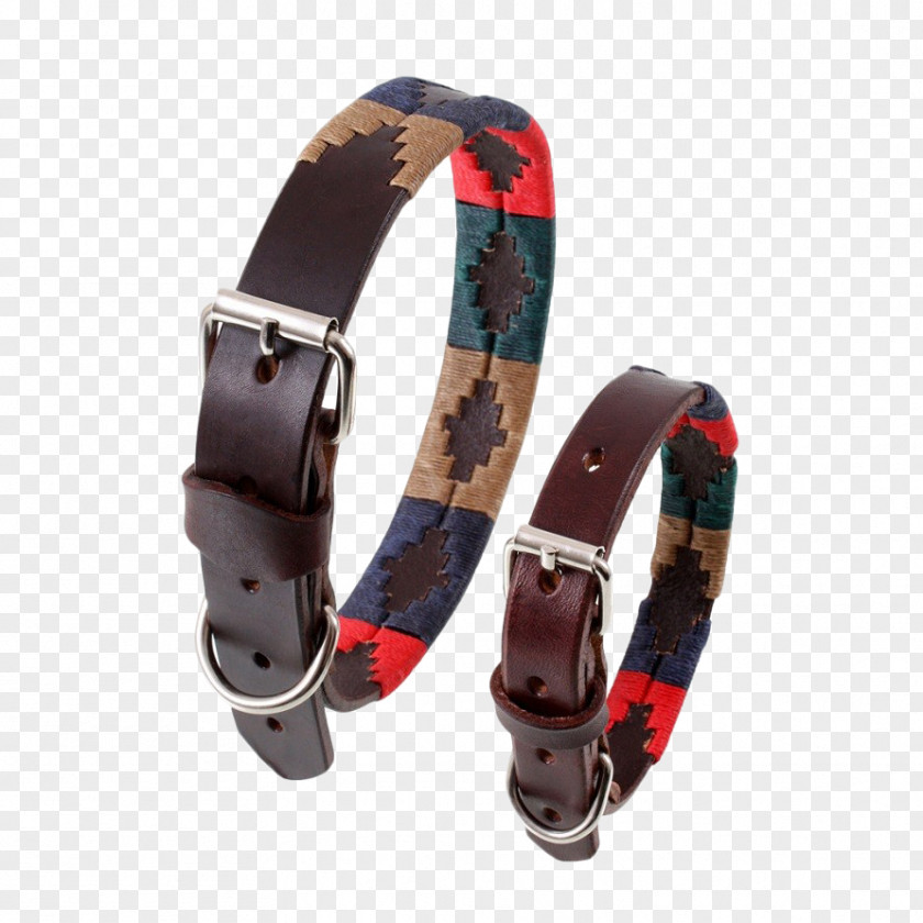 Dog Collars Collar Belt Leash PNG