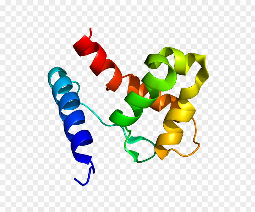 KDM5A Demethylase Protein Gene Histone PNG