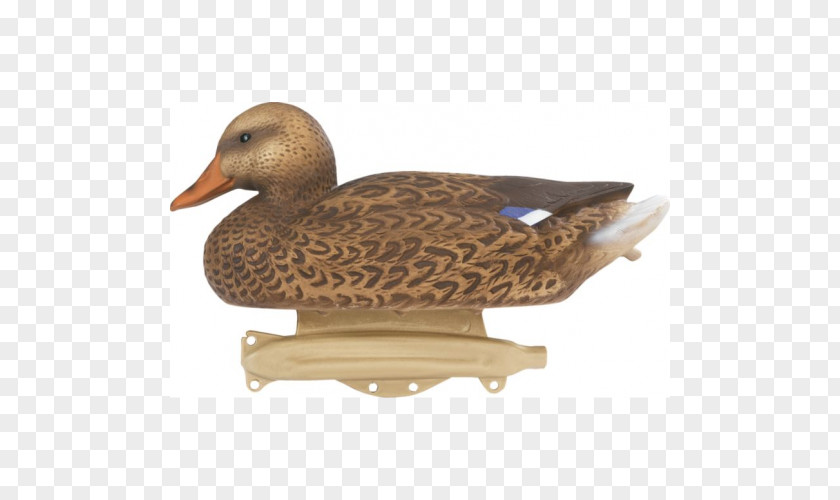 Duck Mallard Krasnodar Decoy Kurtoglu Av PNG