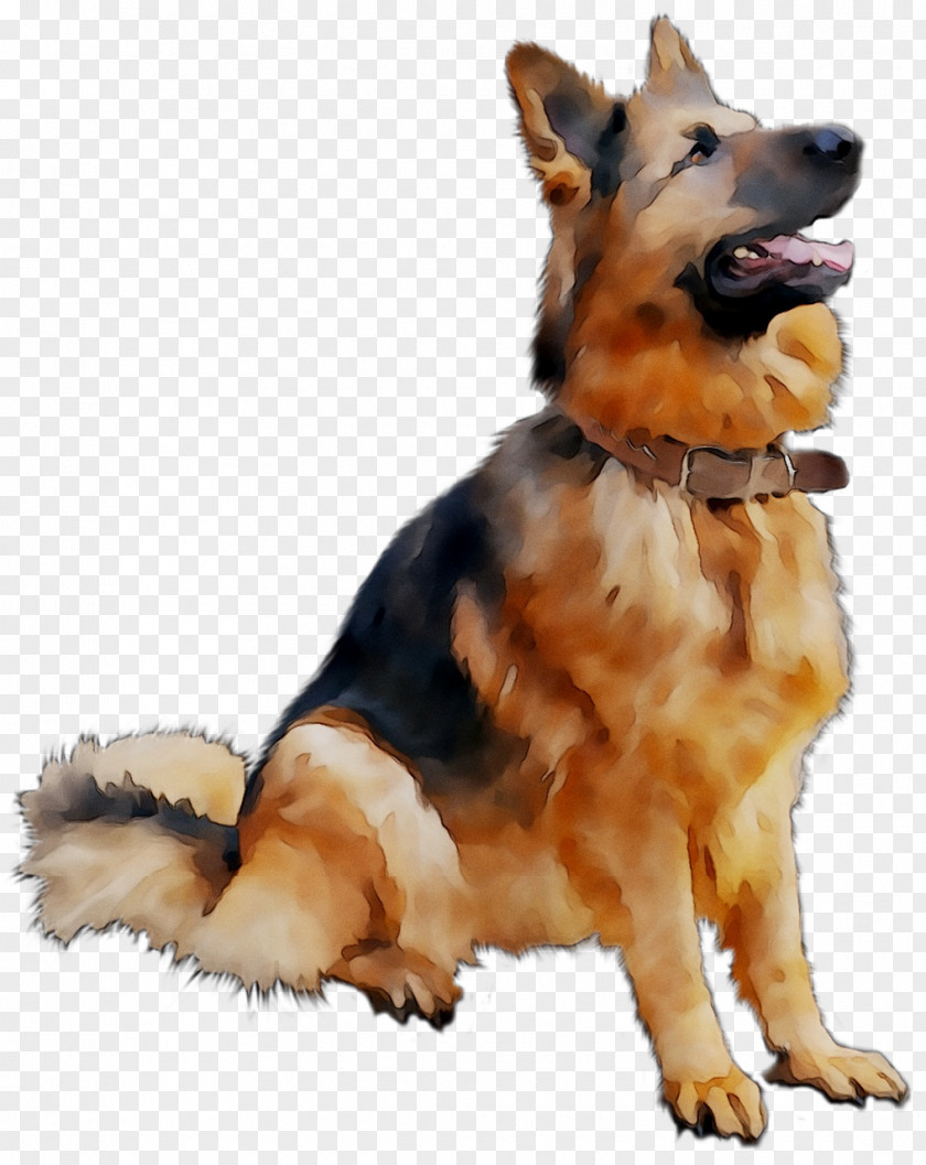 German Shepherd Golden Retriever Puppy Clip Art PNG