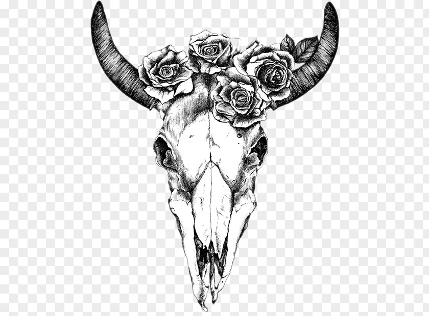 Skull Texas Longhorn Drawing Human Symbolism Bull PNG