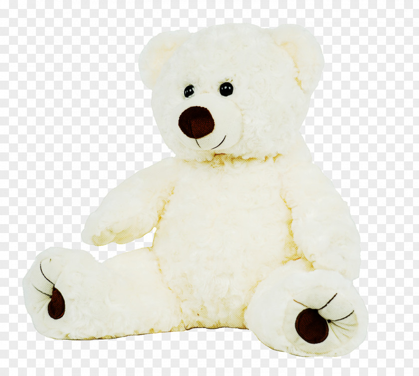 Teddy Bear PNG