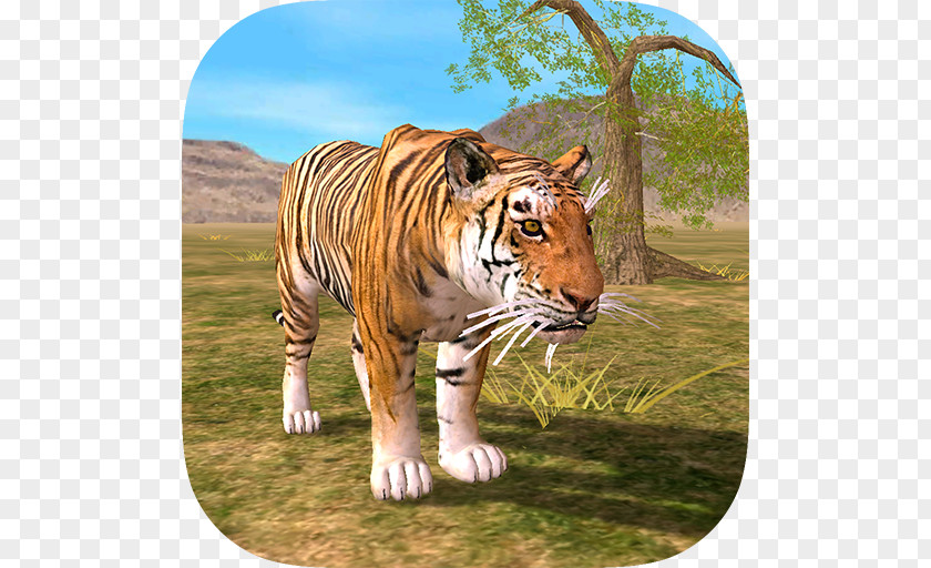 Tiger Adventure Black Simulator 3D Super PicaSim: Flight PNG