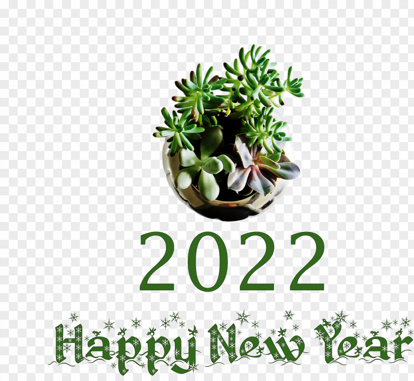 2022 Happy New Year PNG