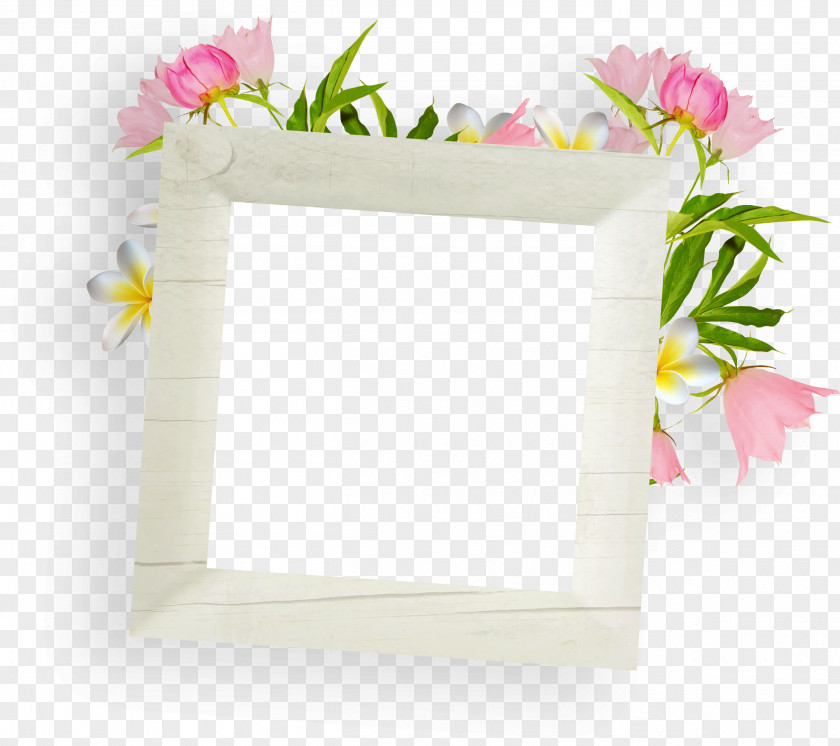 Flower Picture Frames PNG