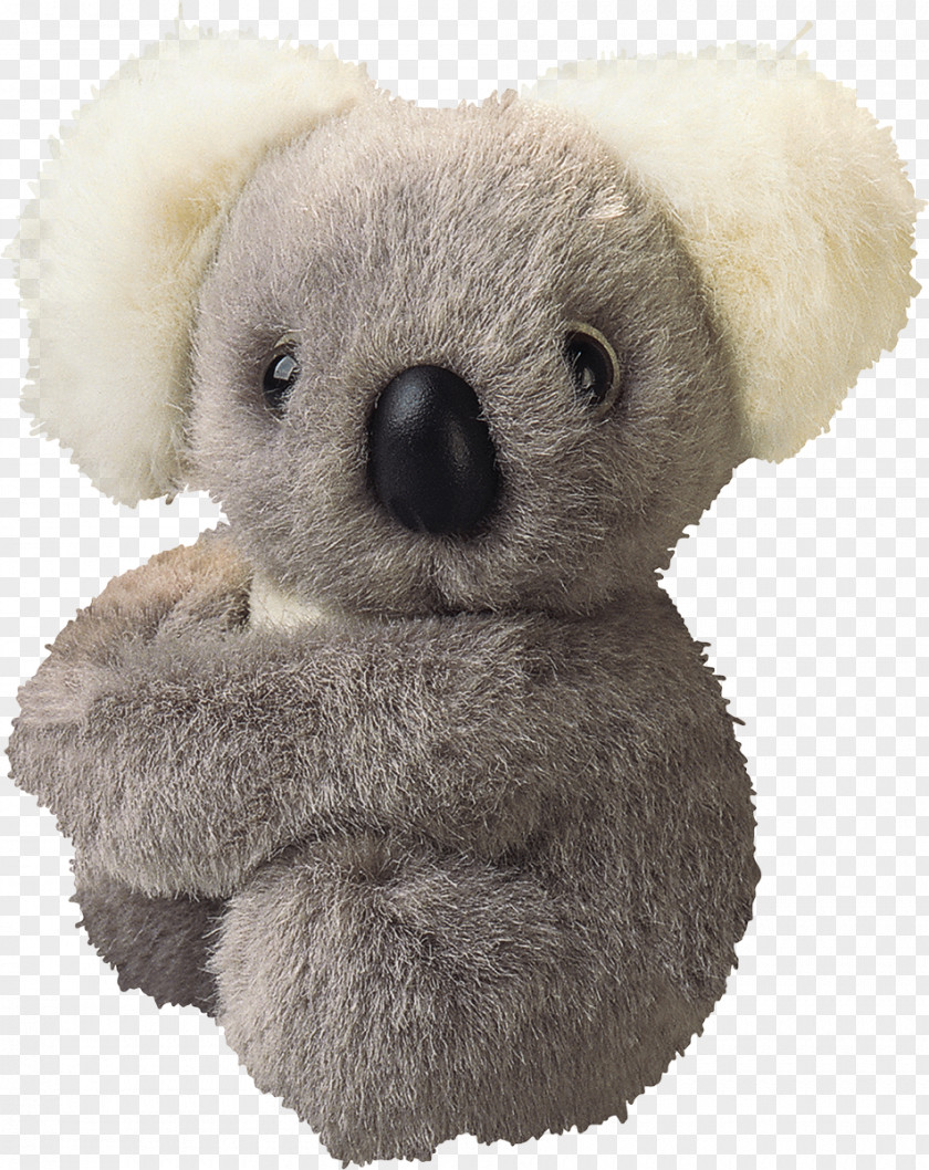 Koala Stuffed Animals & Cuddly Toys Ty Inc. Stock Photography PNG