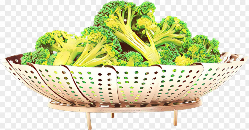 Plant Superfood Broccoli Vegetable Leaf Food Cabbage PNG