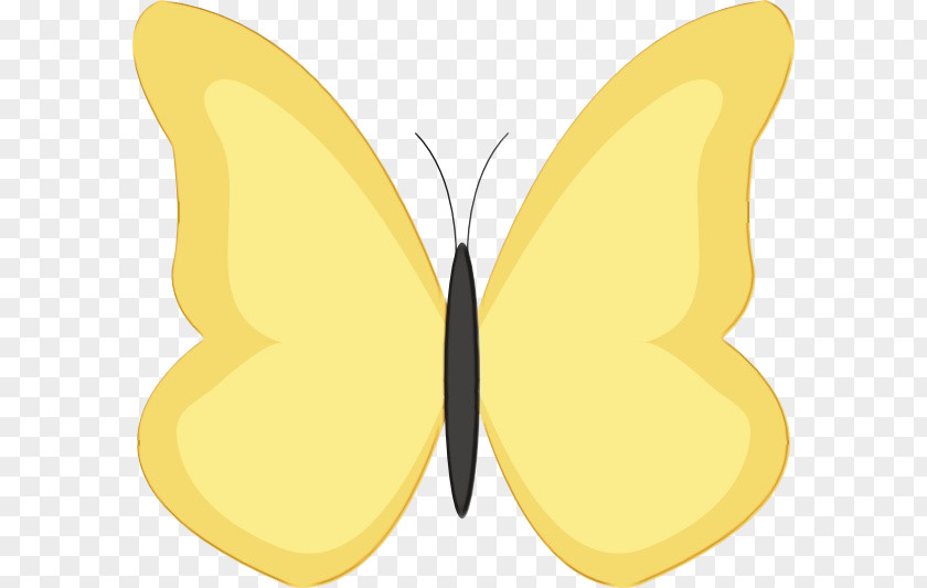 Symmetry Wing Butterfly Moths And Butterflies Insect Yellow Clip Art PNG