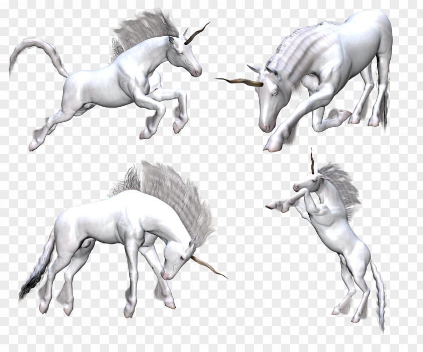 Unicorns Unicorn Fantasy Legendary Creature Horse PNG