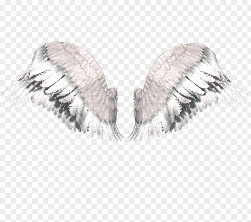 Angels Desktop Wallpaper Clip Art PNG