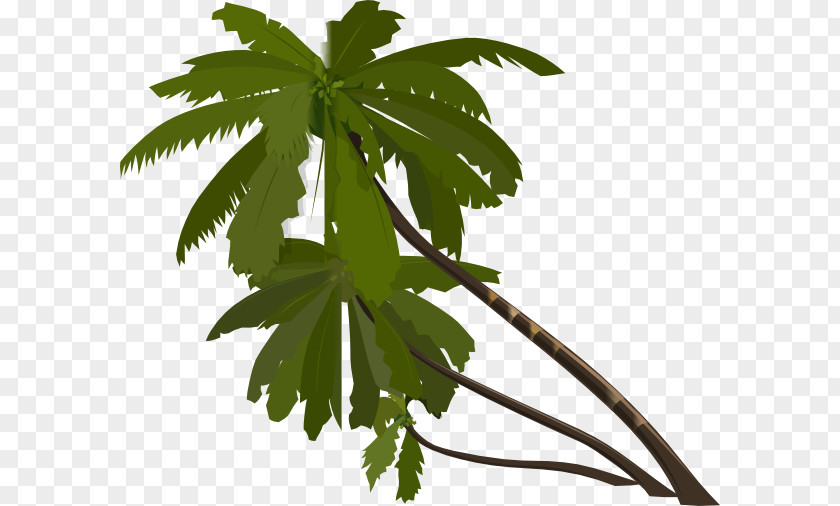 Bismillah Arecaceae Drawing Clip Art PNG