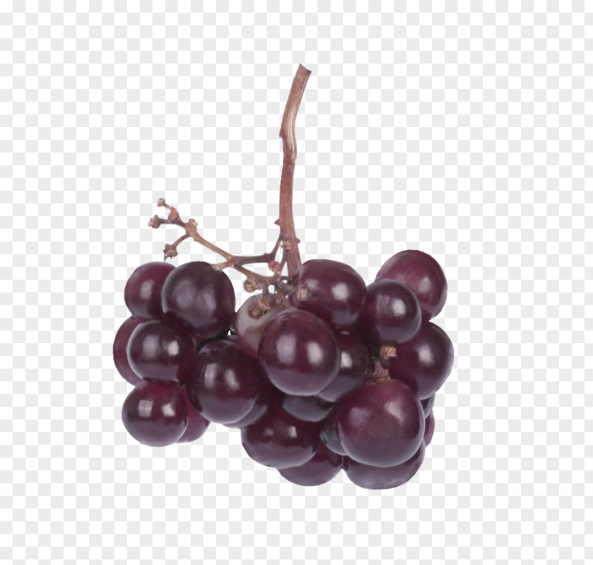 Grape Macular Degeneration Risk Factor Macula Of Retina PNG