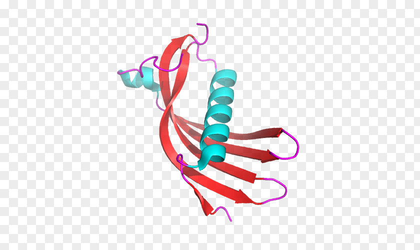 Hereditary Cystatin C Amyloid Angiopathy Protein Disease PNG