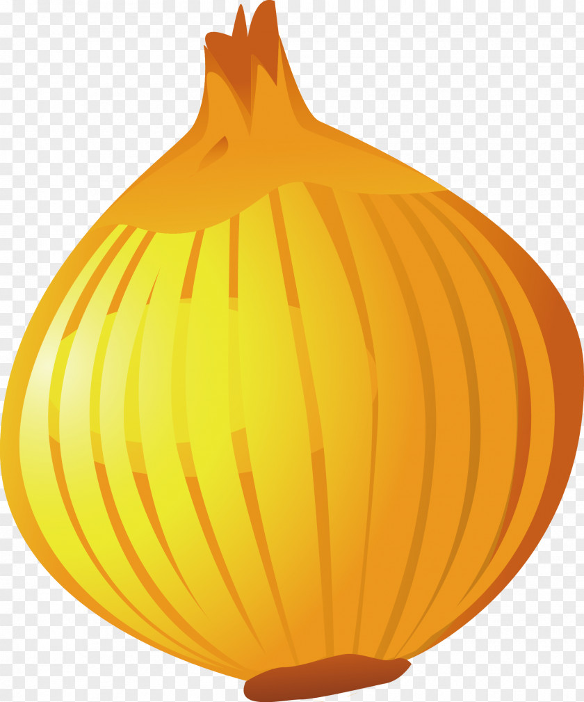 Onion Vector Pumpkin Vegetable Food PNG