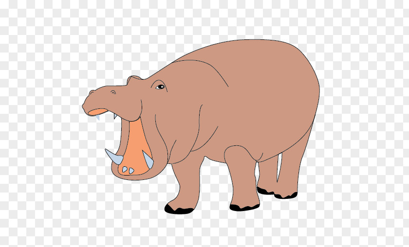 Pig Hippopotamus Color Clip Art PNG