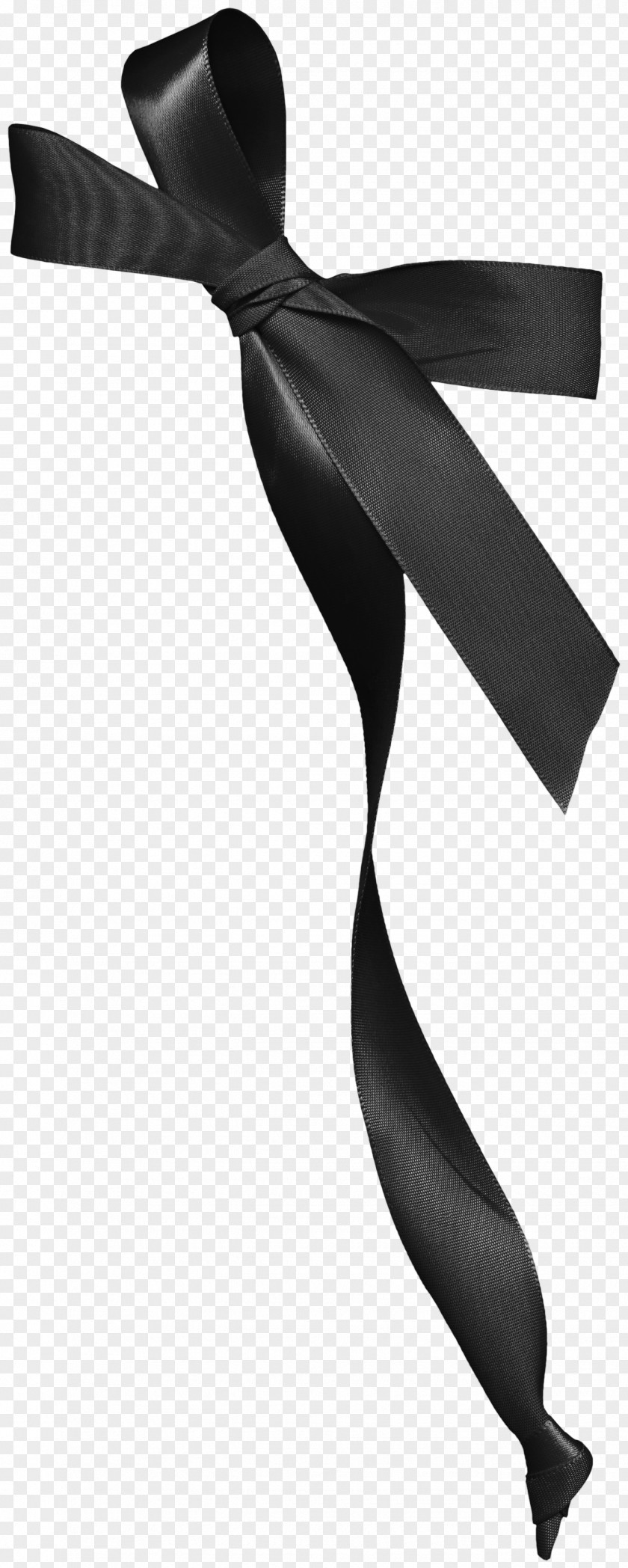 Black Bow Ribbon And White PNG