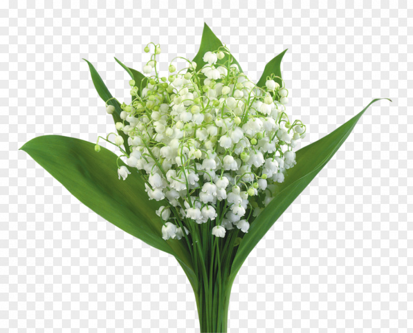 Flower Bouquet Birthday Lily Of The Valley Gift PNG