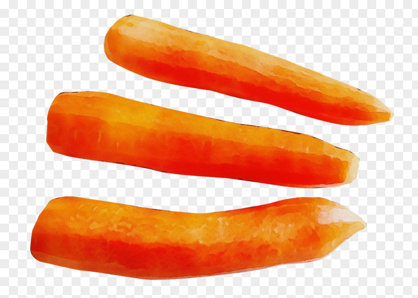Wild Carrot Dish Orange PNG