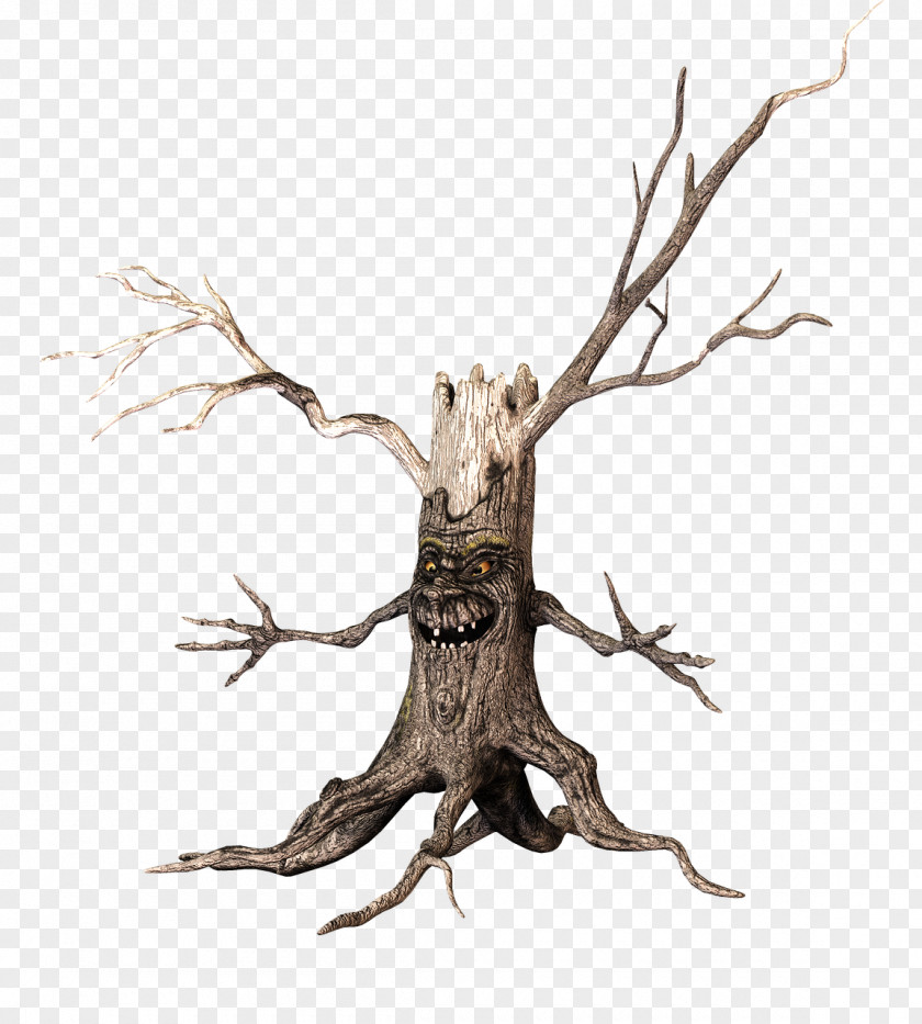 Woods Tree Wood A PNG