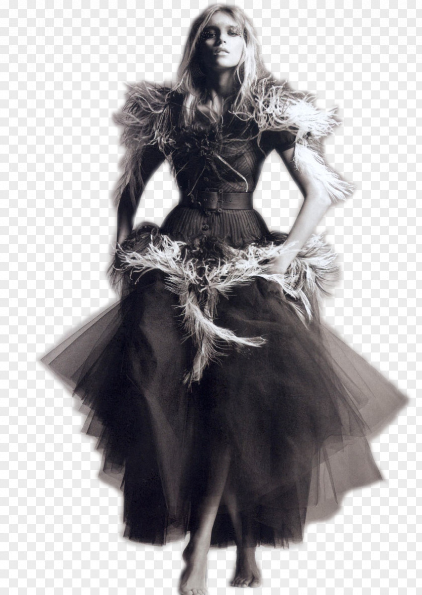 Black Swan Costume Fashion White PNG