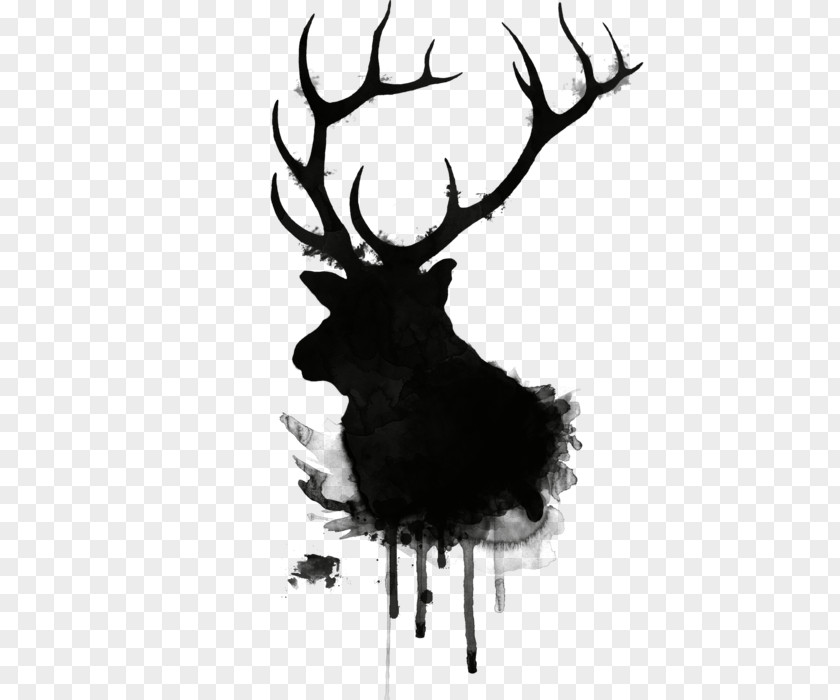 Elk Antlers Deer Moose Drawing Antler PNG