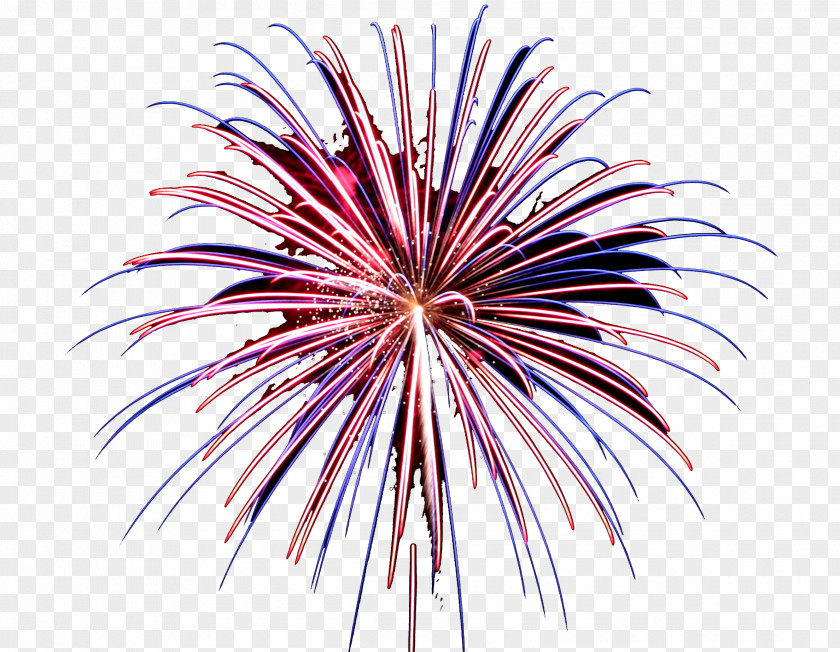 Festival Sparkler Fireworks Pink Line Event Holiday PNG