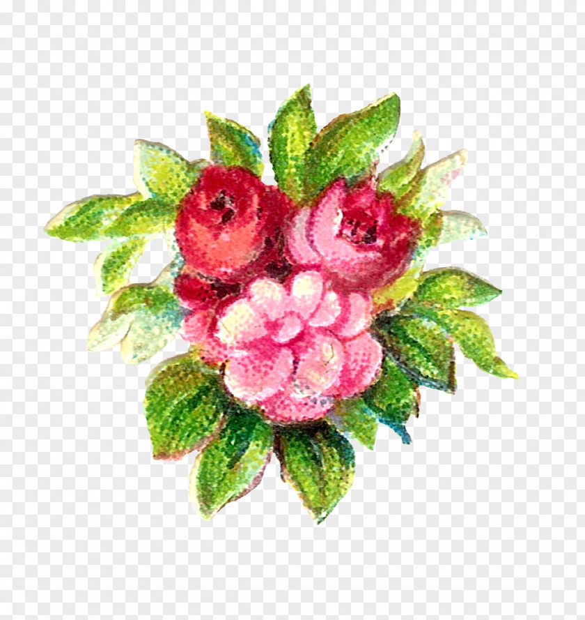 Flower Vintage Rose PNG