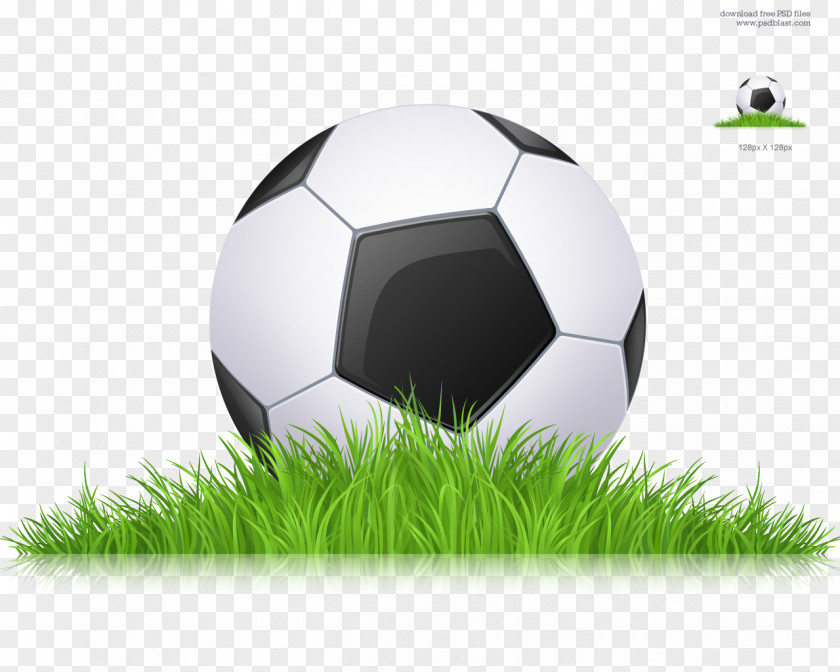 Football Pitch Icon PNG