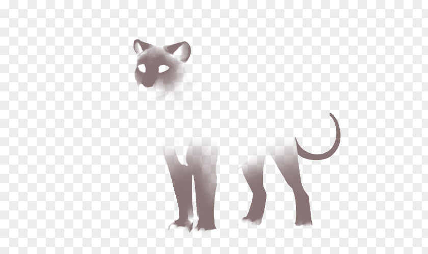 Lion Whiskers Felidae Cheetah Siamese Cat PNG