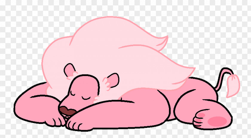 Universe Cat Pig Mammal Snout Whiskers PNG