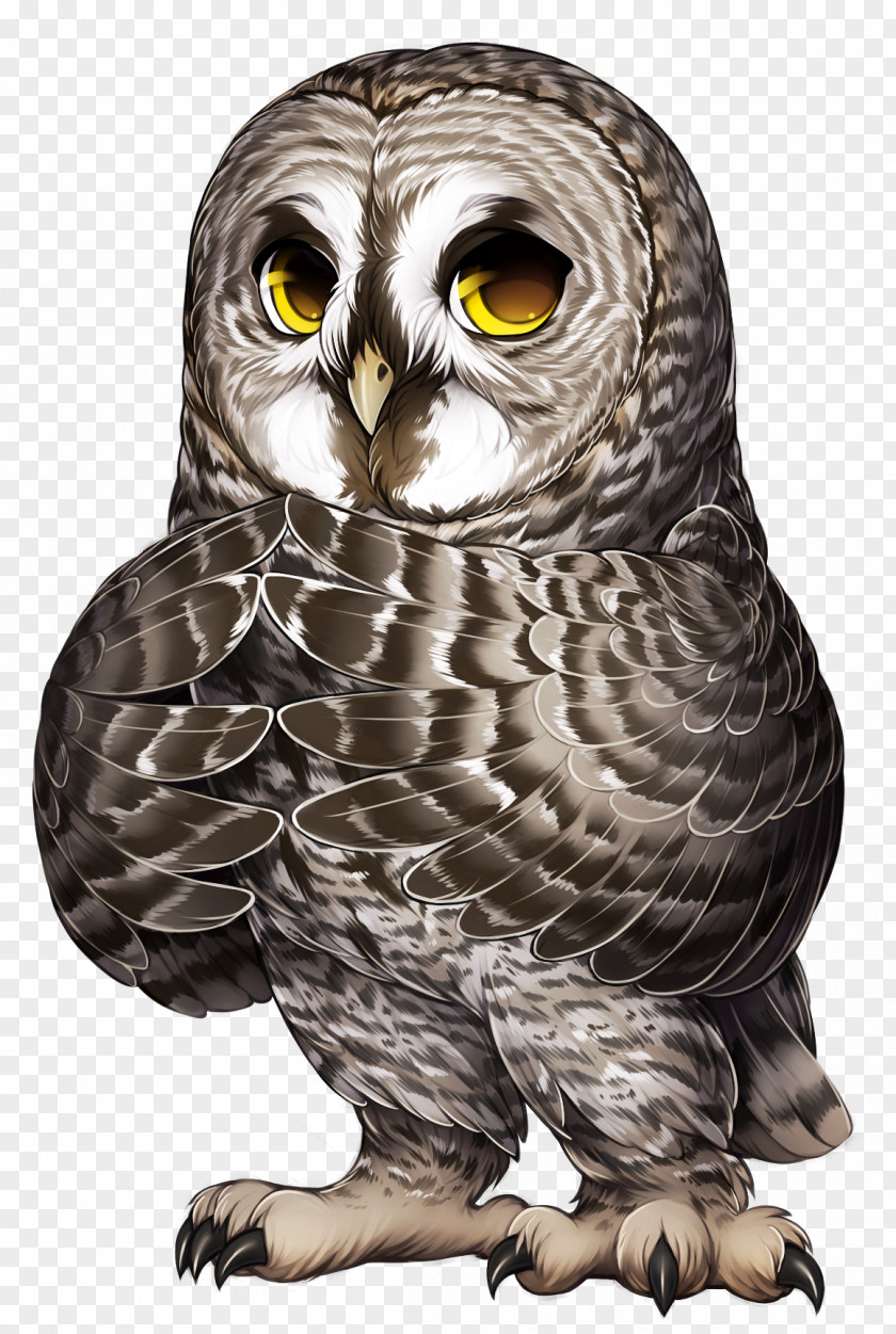 Eastern Screech Owl Wildlife Bird Of Prey Great Grey Western PNG