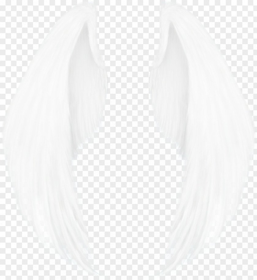 Fashion Accessory Wing Feather PNG