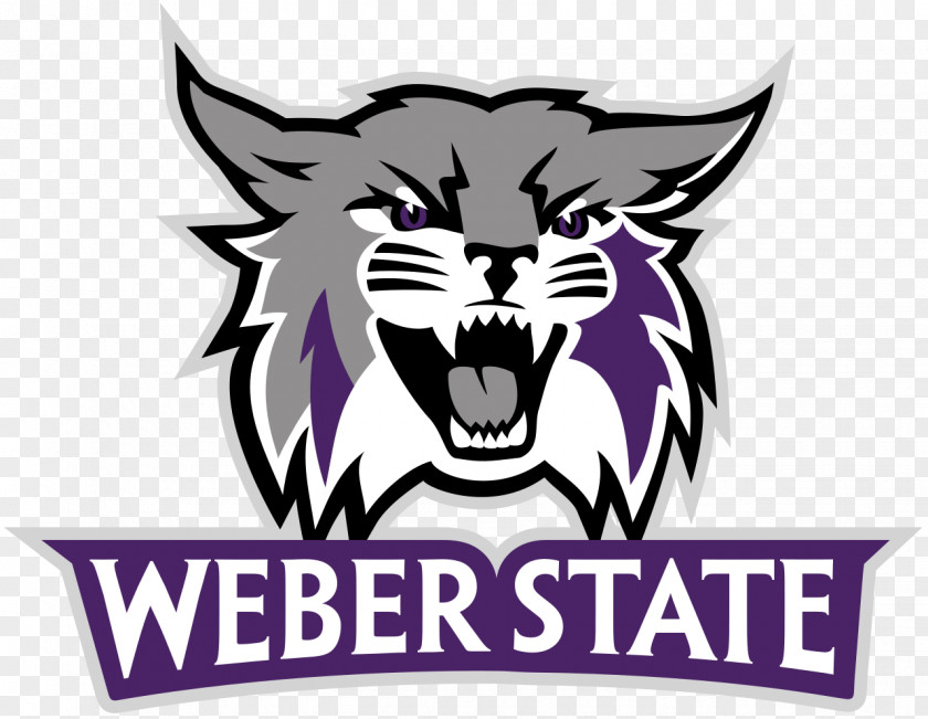 James Weber State University Wildcats Men's Basketball Football Women's PNG